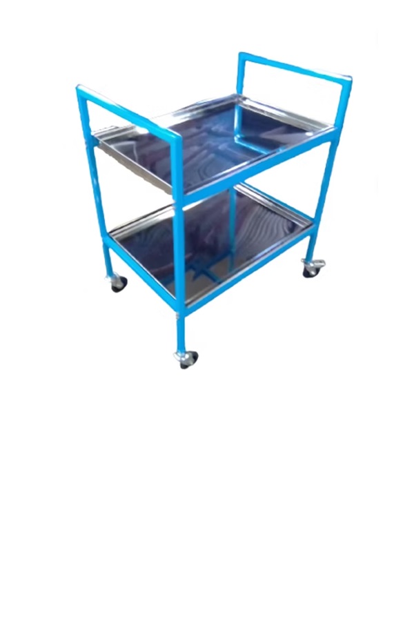 TL2100_A TROLLEY - LIGHT DUTY LABORATORY - 2 TIER S/S - Image 1